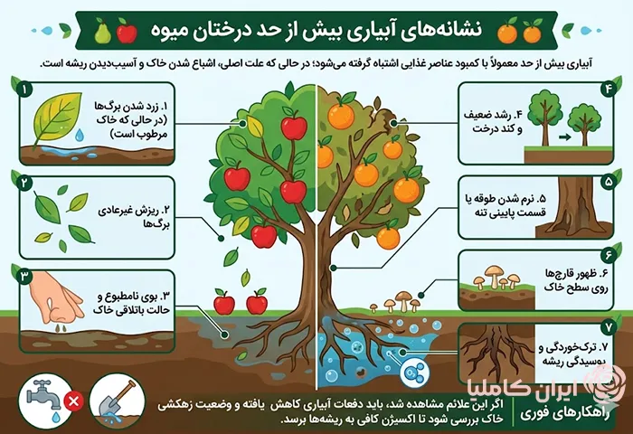 بهترین روش آبیاری درختان میوه